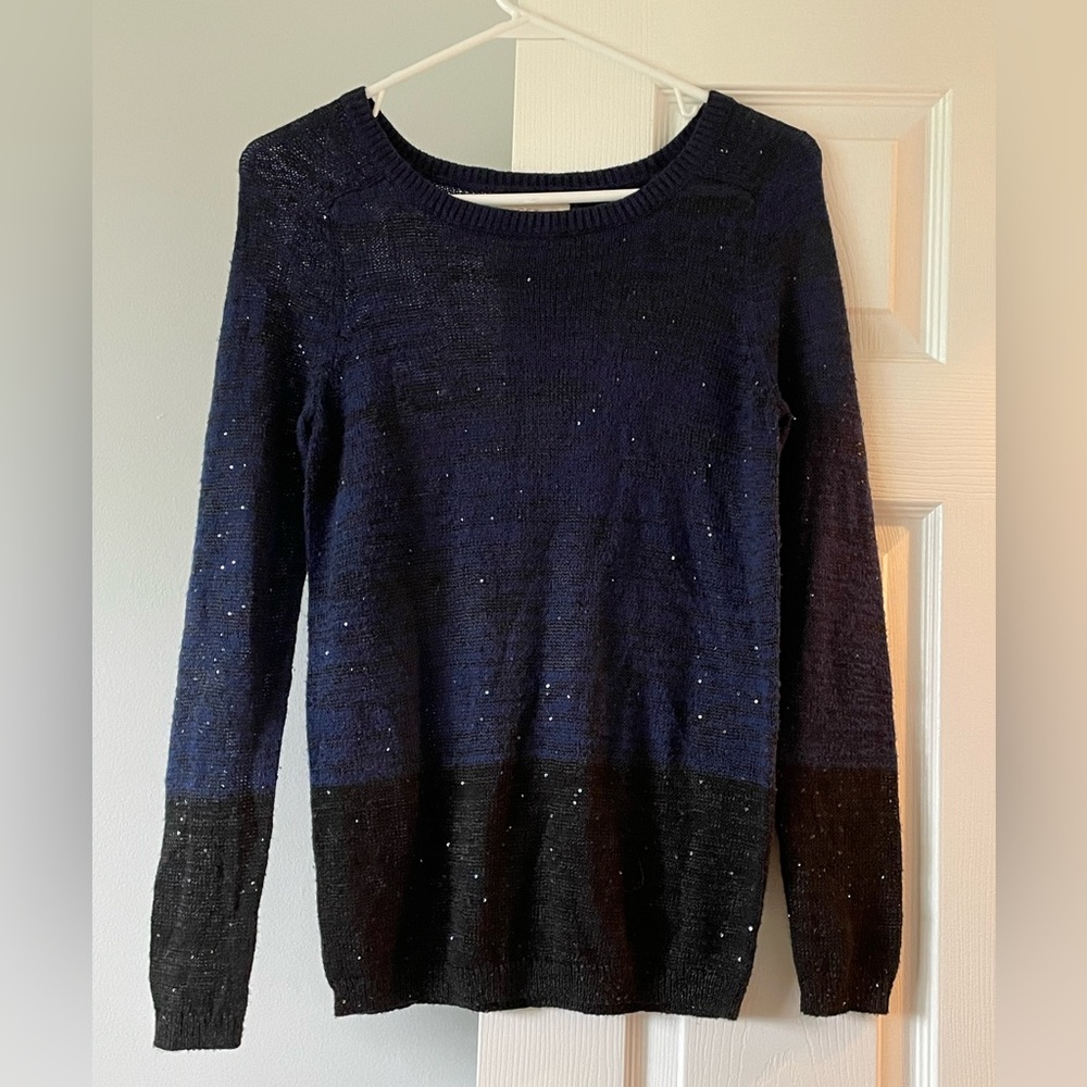 Ann Taylor Loft sweater